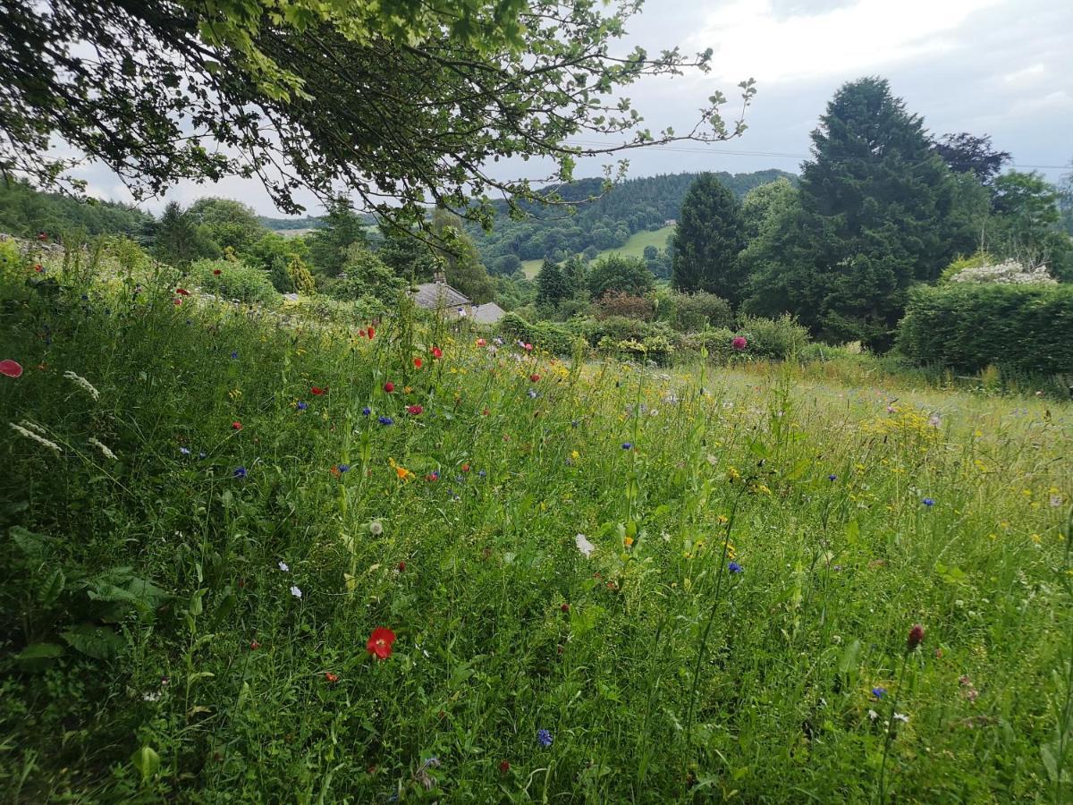 1 Bed Studio In Two Dales Near Matlock & Bakewell Екстер'єр фото